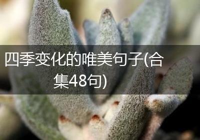 四季变化的唯美句子(合集48句)