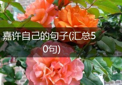 嘉许自己的句子(汇总50句)