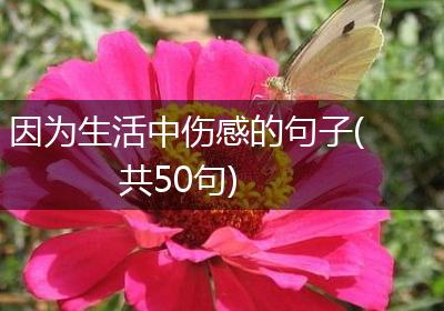 因为生活中伤感的句子(共50句)