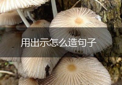 用出示怎么造句子