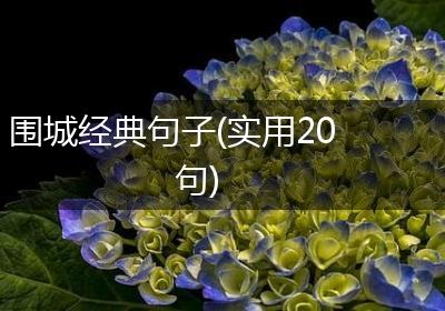 围城经典句子(实用20句)