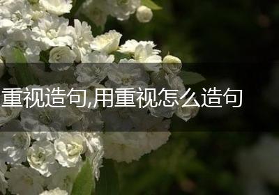 重视造句,用重视怎么造句
