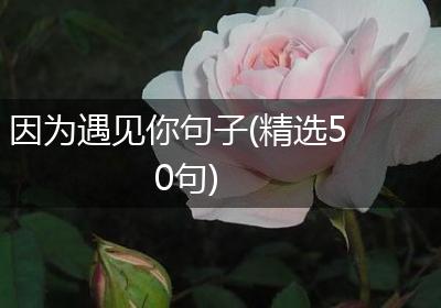 因为遇见你句子(精选50句)