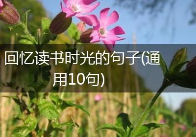 回忆读书时光的句子(通用10句)
