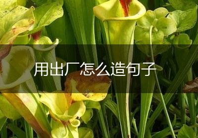 用出厂怎么造句子