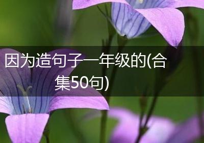 因为造句子一年级的(合集50句)