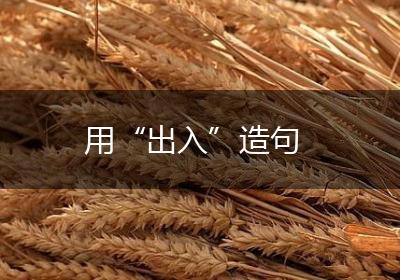 用“出入”造句