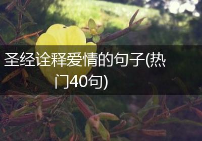 圣经诠释爱情的句子(热门40句)