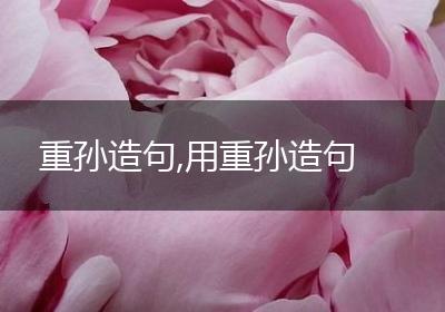重孙造句,用重孙造句