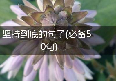 坚持到底的句子(必备50句)