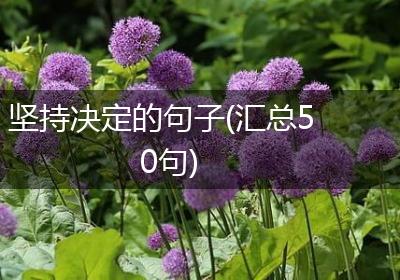 坚持决定的句子(汇总50句)