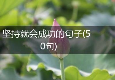 坚持就会成功的句子(50句)