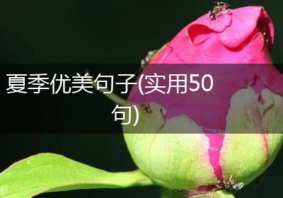 夏季优美句子(实用50句)