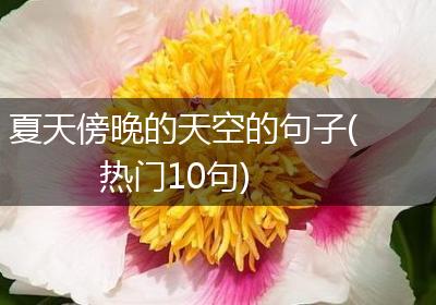 夏天傍晚的天空的句子(热门10句)