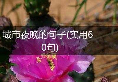 城市夜晚的句子(实用60句)