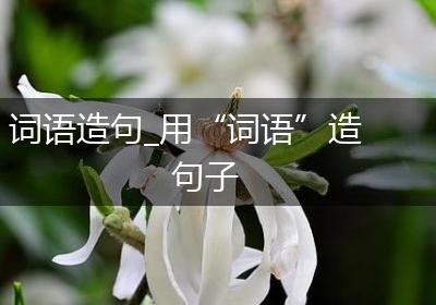 词语造句_用“词语”造句子