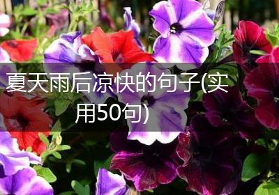 夏天雨后凉快的句子(实用50句)
