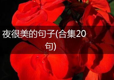 夜很美的句子(合集20句)