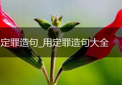 定罪造句_用定罪造句大全