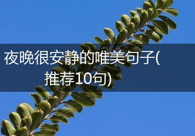 夜晚很安静的唯美句子(推荐10句)