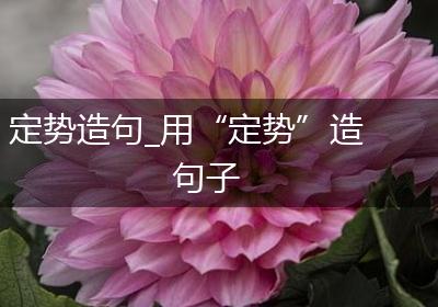 定势造句_用“定势”造句子