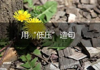 用“低压”造句