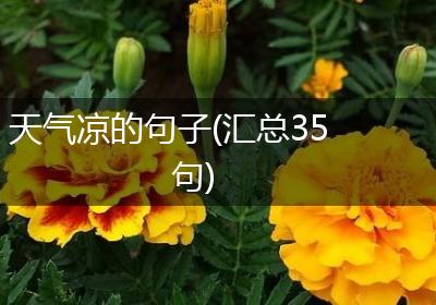天气凉的句子(汇总35句)
