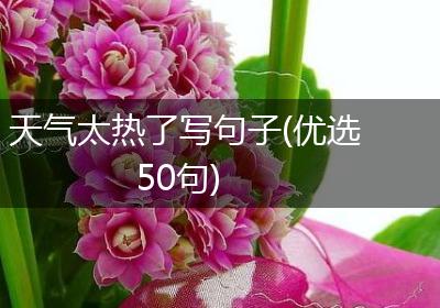 天气太热了写句子(优选50句)