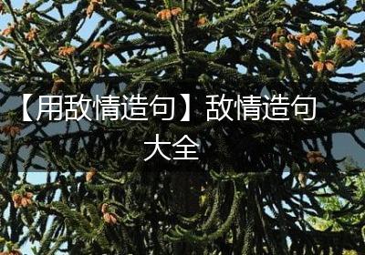 【用敌情造句】敌情造句大全