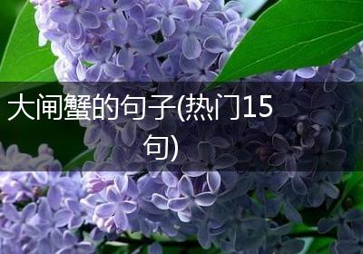 大闸蟹的句子(热门15句)