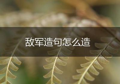 敌军造句怎么造