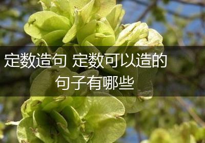 定数造句 定数可以造的句子有哪些