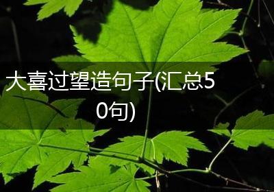 大喜过望造句子(汇总50句)