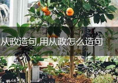 从政造句,用从政怎么造句