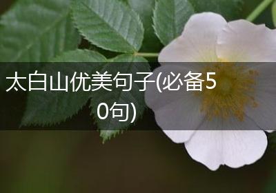 太白山优美句子(必备50句)