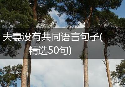 夫妻没有共同语言句子(精选50句)