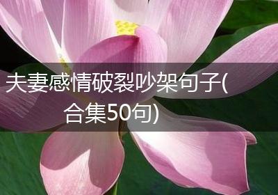 夫妻感情破裂吵架句子(合集50句)