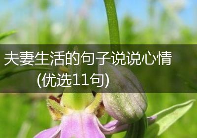 夫妻生活的句子说说心情(优选11句)