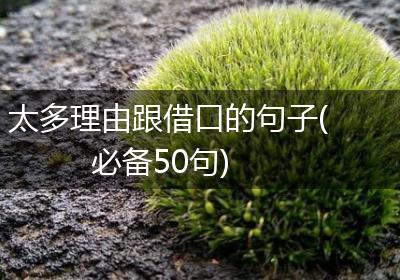 太多理由跟借口的句子(必备50句)