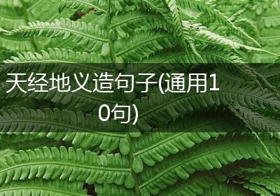 天经地义造句子(通用10句)