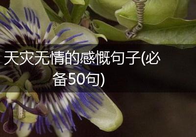 天灾无情的感慨句子(必备50句)