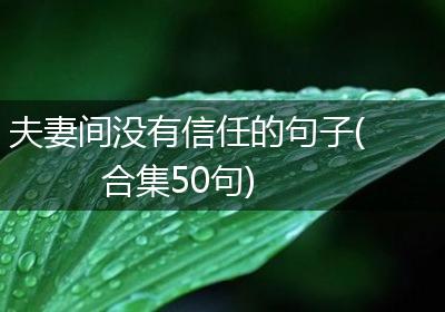 夫妻间没有信任的句子(合集50句)