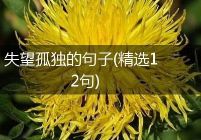失望孤独的句子(精选12句)