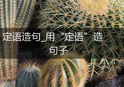 定语造句_用“定语”造句子