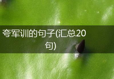 夸军训的句子(汇总20句)