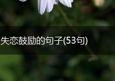 失恋鼓励的句子(53句)