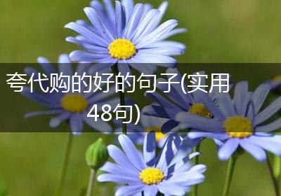 夸代购的好的句子(实用48句)