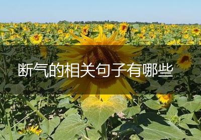 断气的相关句子有哪些