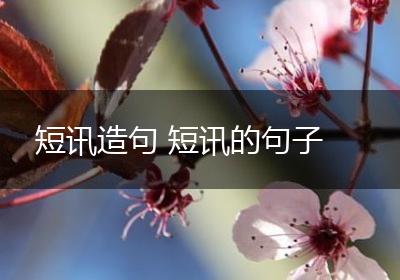 短讯造句 短讯的句子
