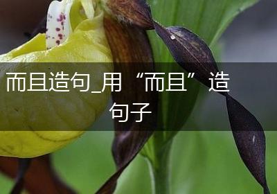 而且造句_用“而且”造句子